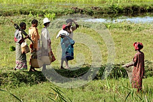 Chatting on the field