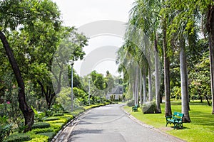 Chatuchak park in bangkok Thailand