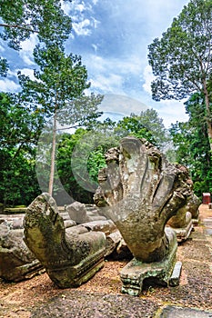 Chau Say Thevoda Naga Statues