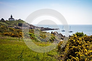 Chausey island landscape in Brittany, France