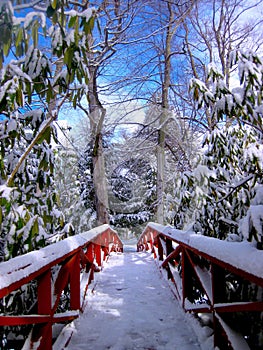 Chautauqua Institution Footbridge in Winter photo