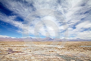 Chaxa Lagoon in the Salar de Atacama, Chile