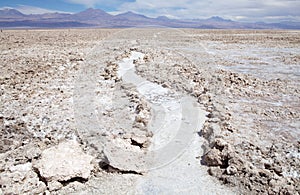 Chaxa Lagoon in the Salar de Atacama, Chile