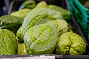 Chayota vegetable peer on local market on Tenerife island, Canary islands, Spain photo