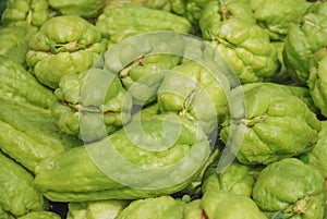 Chayote