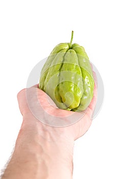 Chayote being held by a hand