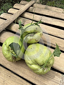 chayote brood photographed in daylight against a background of of bamboo wood.