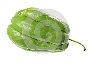 Chayote photo