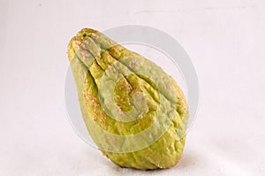 Chayote (Sechium Edule