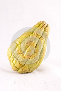 Chayote (Sechium Edule