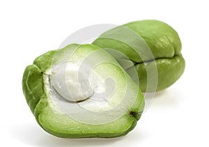 CHAYOTE sechium edule