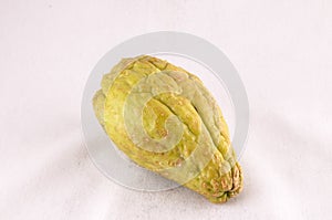 Chayote (Sechium Edule