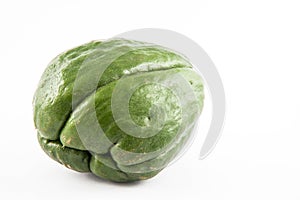 Chayote Sechium edule