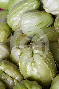 Chayote Squash photo