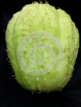 Chayote with thorns