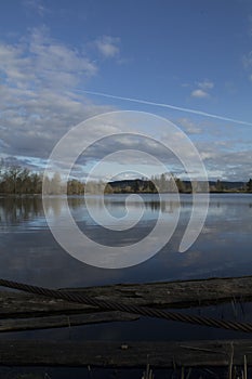 Cheadle Lake Reflection