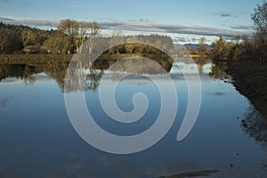 Cheadle Lake Reflection