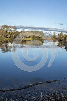 Cheadle Lake Reflection