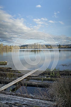 Cheadle Lake Reflection