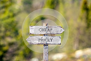 cheap pricey text carved on wooden signpost outdoors in nature.