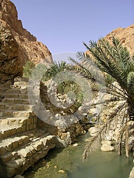 Chebika Oasis