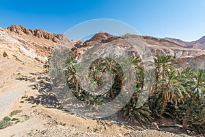 Chebika Oasis in Tozeur, Tunisia