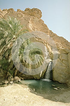 Chebika - tunisian oasis