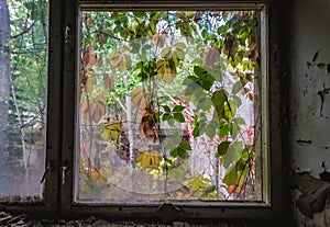 Cheburashka kindergarten in Pripyat, Chernobyl Zone