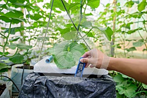 Check EC value of of water bin of hydroponics system