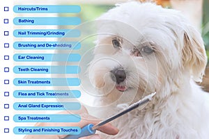 Check list of services offered by the salon for dogs concept