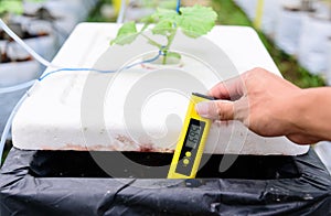 Check pH value of water bin