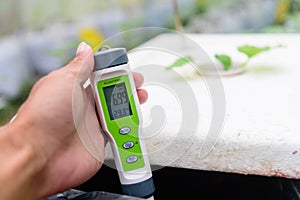 Check pH value of water bin of hydroponics