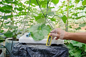 Check pH value of water bin of hydroponics system