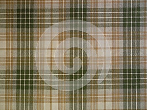 Checked fabric