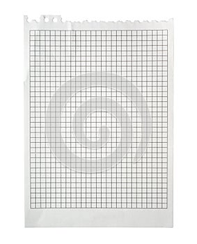 Checked squared paper background texture sheet notebook blank page square school note empty office pad closeup pattern education
