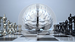 Checkerboard Brain
