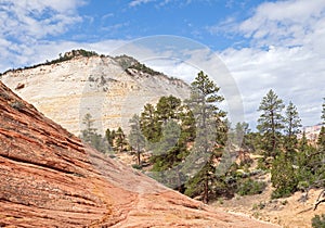 Checkerboard Mesa