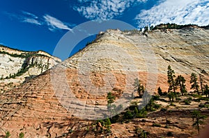 Checkerboard Mesa