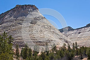 Checkerboard Mesa in Zion Canyon