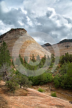 Checkerboard Mesa at Zion