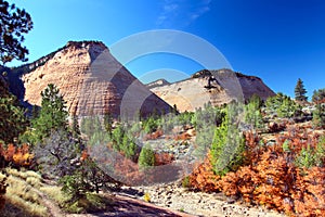 Checkerboard Mesa - Zion National Park