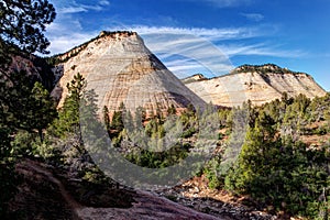 Checkerboard Mesa Zion National Park