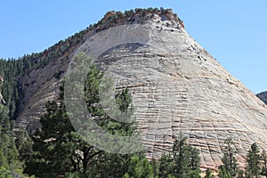 Checkerboard Mesa in Zion National Park