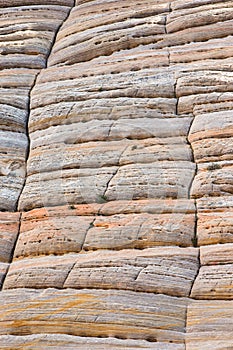 Checkerboard rock formation in Zion National Park