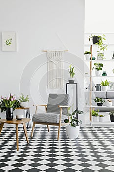 Checkered floor in a retro living room interior with white walls, plants, armchair and coffee table. Real photo