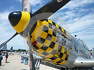 Checkered P51 Mustang