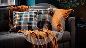 Checkered pillows on sofa in living room, interior design concept.