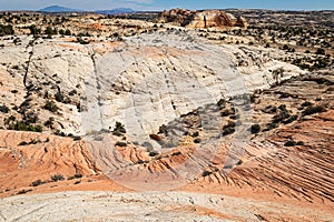 Checkered Sandstone Arid Desert Wilderness Landscape Utah