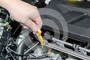 Checking for engine oil on a car photo