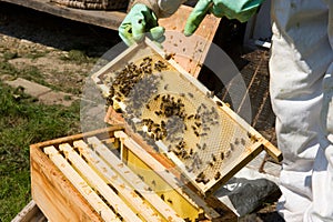 Checking a honeycomb